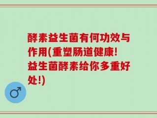 酵素益生菌有何功效与作用(重塑肠道健康!益生菌酵素给你多重好处!)