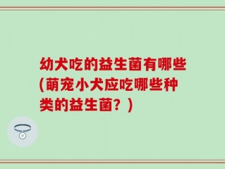 幼犬吃的益生菌有哪些(萌宠小犬应吃哪些种类的益生菌？)