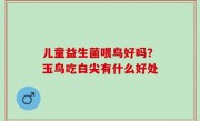 儿童益生菌喂鸟好吗？玉鸟吃白尖有什么好处
