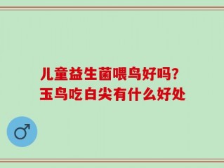 儿童益生菌喂鸟好吗？玉鸟吃白尖有什么好处