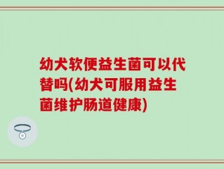 幼犬软便益生菌可以代替吗(幼犬可服用益生菌维护肠道健康)