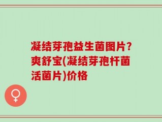 凝结芽孢益生菌图片？爽舒宝(凝结芽孢杆菌活菌片)价格