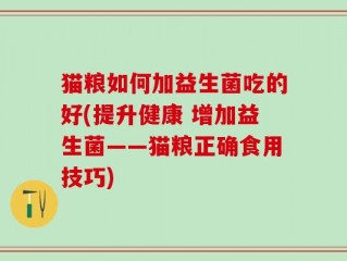 猫粮如何加益生菌吃的好(提升健康 增加益生菌——猫粮正确食用技巧)