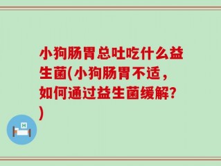 小狗肠胃总吐吃什么益生菌(小狗肠胃不适，如何通过益生菌缓解？)