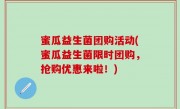 蜜瓜益生菌团购活动(蜜瓜益生菌限时团购，抢购优惠来啦！)