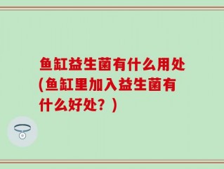 鱼缸益生菌有什么用处(鱼缸里加入益生菌有什么好处？)