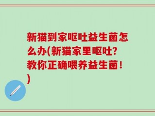 新猫到家呕吐益生菌怎么办(新猫家里呕吐？教你正确喂养益生菌！)