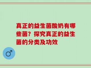 真正的益生菌酸奶有哪些菌？探究真正的益生菌的分类及功效