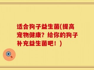 适合狗子益生菌(提高宠物健康？给你的狗子补充益生菌吧！)