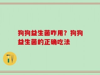 狗狗益生菌咋用？狗狗益生菌的正确吃法