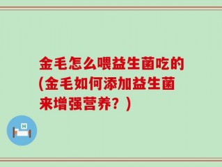 金毛怎么喂益生菌吃的(金毛如何添加益生菌来增强营养？)