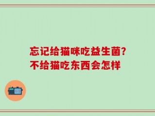 忘记给猫咪吃益生菌？不给猫吃东西会怎样