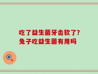 吃了益生菌牙齿软了？兔子吃益生菌有用吗