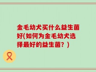 金毛幼犬买什么益生菌好(如何为金毛幼犬选择最好的益生菌？)