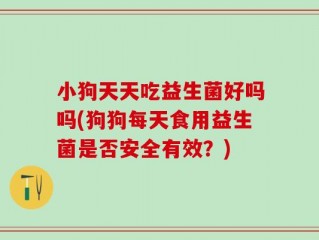 小狗天天吃益生菌好吗吗(狗狗每天食用益生菌是否安全有效？)