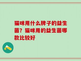 猫咪用什么牌子的益生菌？猫咪用的益生菌哪款比较好