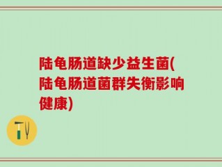 陆龟肠道缺少益生菌(陆龟肠道菌群失衡影响健康)