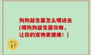 狗狗益生菌怎么喂进去(喂狗狗益生菌攻略，让你的宠物更健康！)
