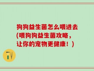 狗狗益生菌怎么喂进去(喂狗狗益生菌攻略，让你的宠物更健康！)