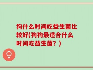 狗什么时间吃益生菌比较好(狗狗最适合什么时间吃益生菌？)
