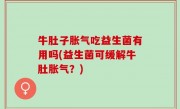 牛肚子胀气吃益生菌有用吗(益生菌可缓解牛肚胀气？)