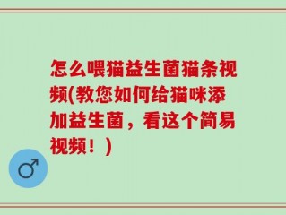 怎么喂猫益生菌猫条视频(教您如何给猫咪添加益生菌，看这个简易视频！)