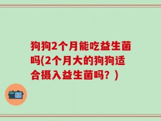 狗狗2个月能吃益生菌吗(2个月大的狗狗适合摄入益生菌吗？)