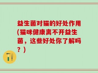 益生菌对猫的好处作用(猫咪健康离不开益生菌，这些好处你了解吗？)