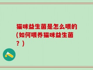 猫咪益生菌是怎么喂的(如何喂养猫咪益生菌？)