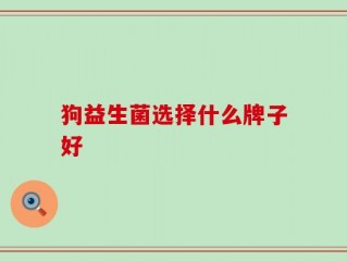 狗益生菌选择什么牌子好