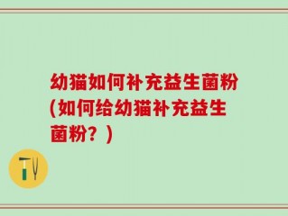 幼猫如何补充益生菌粉(如何给幼猫补充益生菌粉？)