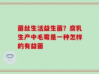 菌丝生活益生菌？腐乳生产中毛霉是一种怎样的有益菌