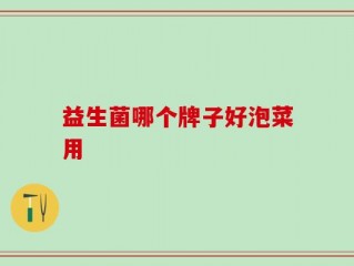 益生菌哪个牌子好泡菜用