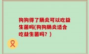 狗狗得了肠炎可以吃益生菌吗(狗狗肠炎适合吃益生菌吗？)