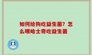 如何给狗吃益生菌？怎么喂哈士奇吃益生菌