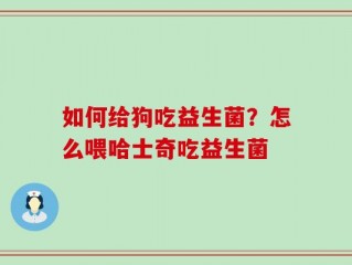 如何给狗吃益生菌？怎么喂哈士奇吃益生菌