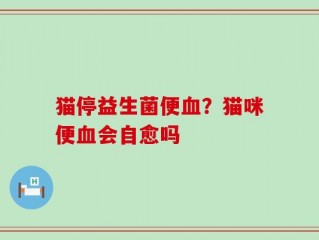 猫停益生菌便血？猫咪便血会自愈吗
