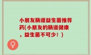 小朋友肠道益生菌推荐药(小朋友的肠道健康，益生菌不可少！)