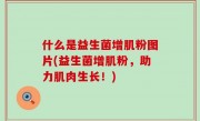 什么是益生菌增肌粉图片(益生菌增肌粉，助力肌肉生长！)