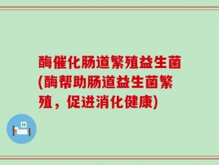 酶催化肠道繁殖益生菌(酶帮助肠道益生菌繁殖，促进消化健康)