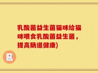 乳酸菌益生菌猫咪给猫咪喂食乳酸菌益生菌，提高肠道健康)