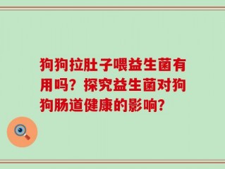 狗狗拉肚子喂益生菌有用吗？探究益生菌对狗狗肠道健康的影响？