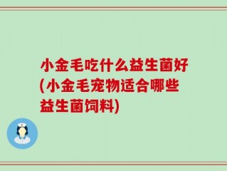 小金毛吃什么益生菌好(小金毛宠物适合哪些益生菌饲料)