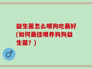 益生菌怎么喂狗吃最好(如何最佳喂养狗狗益生菌？)