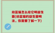 幼蓝猫怎么给它喝益生菌(幼蓝猫的益生菌喝法，你需要了解一下)