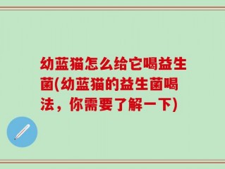 幼蓝猫怎么给它喝益生菌(幼蓝猫的益生菌喝法，你需要了解一下)