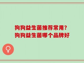 狗狗益生菌推荐常用？狗狗益生菌哪个品牌好