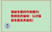 猫益生菌的作用图片(照顾你的猫咪：认识猫益生菌及其益处)