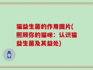 猫益生菌的作用图片(照顾你的猫咪：认识猫益生菌及其益处)