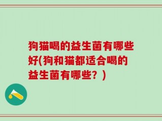 狗猫喝的益生菌有哪些好(狗和猫都适合喝的益生菌有哪些？)